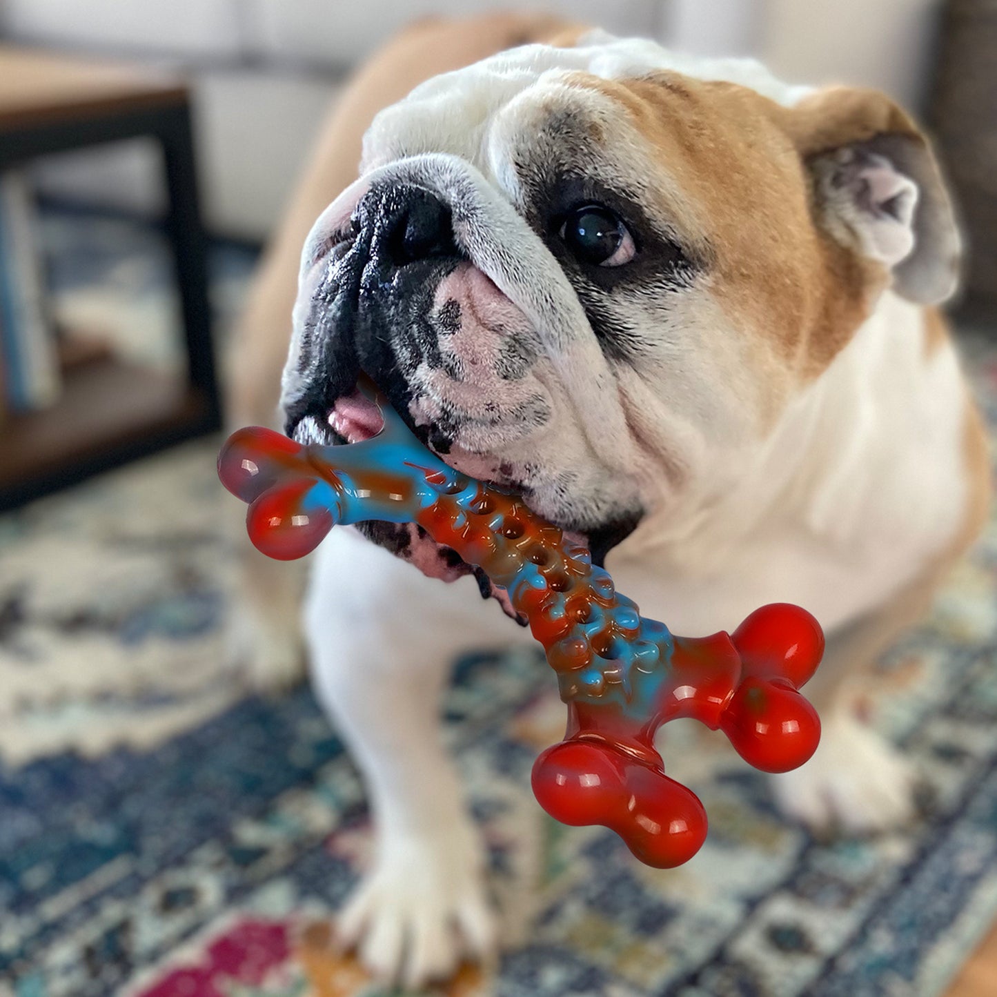 [XL Tough Dog Toys] 4 piece - Peanut Butter And Bacon Flavor Indestructible Dog Toys for Aggressive Chewers Large Breed, Tough Dog Chew Toy, Nylon Dog Toys to Keep Busy, Heavy Dog Toys for Large/Durable Puppy Dogs Must-Haves