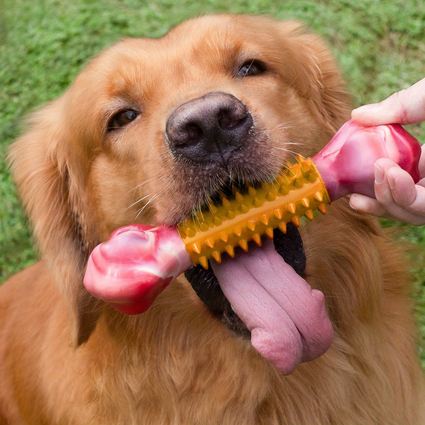[XL Tough Dog Toys] 4 piece - Peanut Butter And Bacon Flavor Indestructible Dog Toys for Aggressive Chewers Large Breed, Tough Dog Chew Toy, Nylon Dog Toys to Keep Busy, Heavy Dog Toys for Large/Durable Puppy Dogs Must-Haves