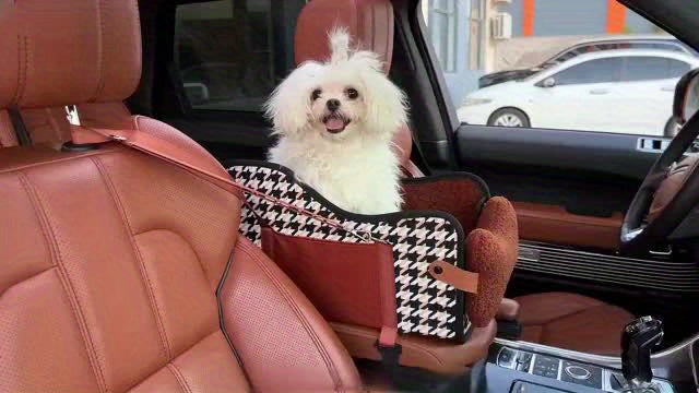 Comfortable Central Console Small/ Medium Dog/Cat Car Seat holds up to 12lbs/ 13.5in, Portable Cozy Booster Car Seat, Deluxe Pet Car Seat for Dogs & Cats with Safety Harness, Breathable Mesh & Soft Padding - for Safe & Comfor