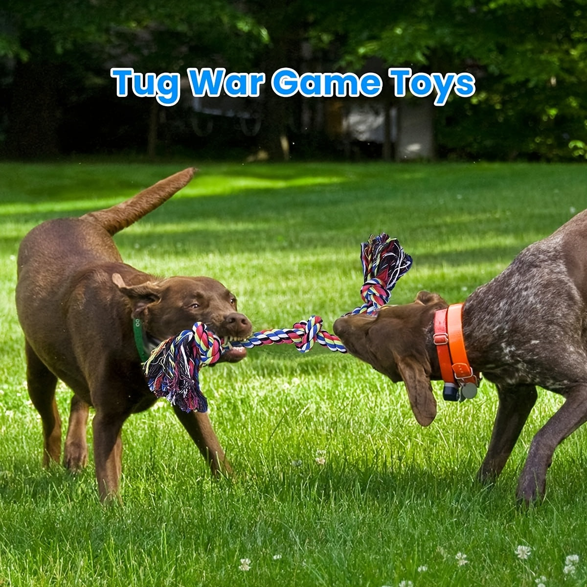 Dog Rope Toys For Large And Medium Aggressive Chewers, 2 Pack Heavy Duty Dog Rope Toy For Large Breed, Indestructible Dog Chew Toys, Tug Of War Dog Toy