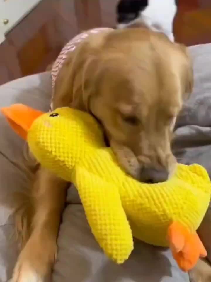 Heavy-Duty Plush Chew Proof Duck - SweetS Large Dog Chew Toy - Interactive Squeaker - No Batteries Needed - Safe for Aggressive Chewers - For Puppies & Adult Dogs - Teeth Cleaning - Ideal for Golden Retrievers, Corgis, Cats -