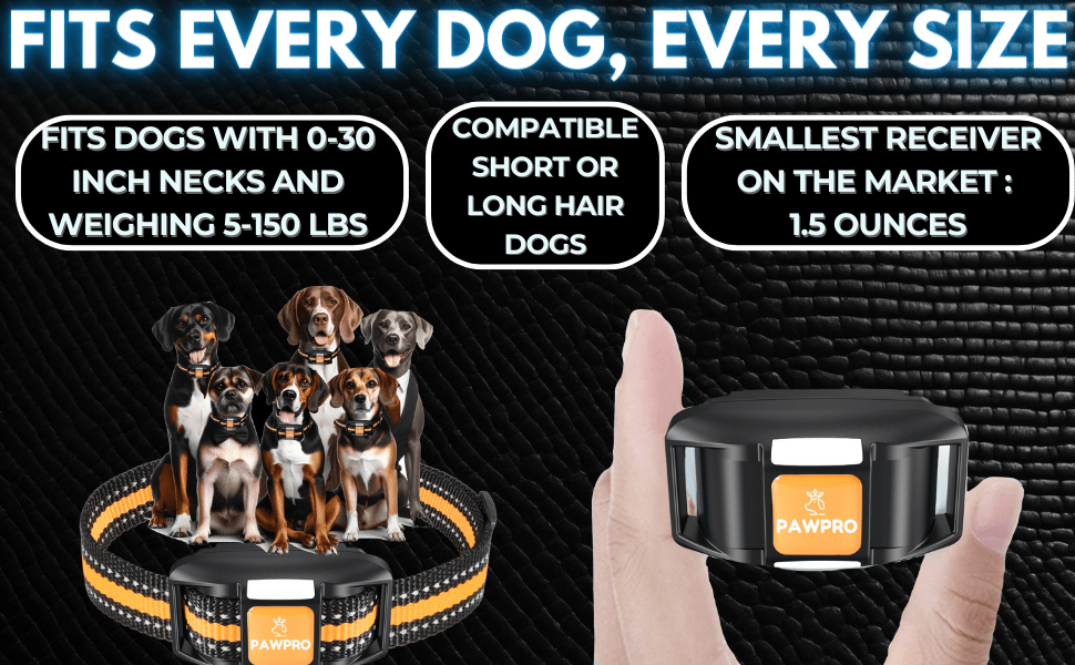 PAWPRO Dog Training Collar with Remote, XXL 4-Mile Unmatched Range for Maximum Control, Night-Light Mode for Safety & Visibility, 124 Adjustable Levels & 4 Safe Training Modes (Beep, Vibration, Shock, Night-Light), Free Exper