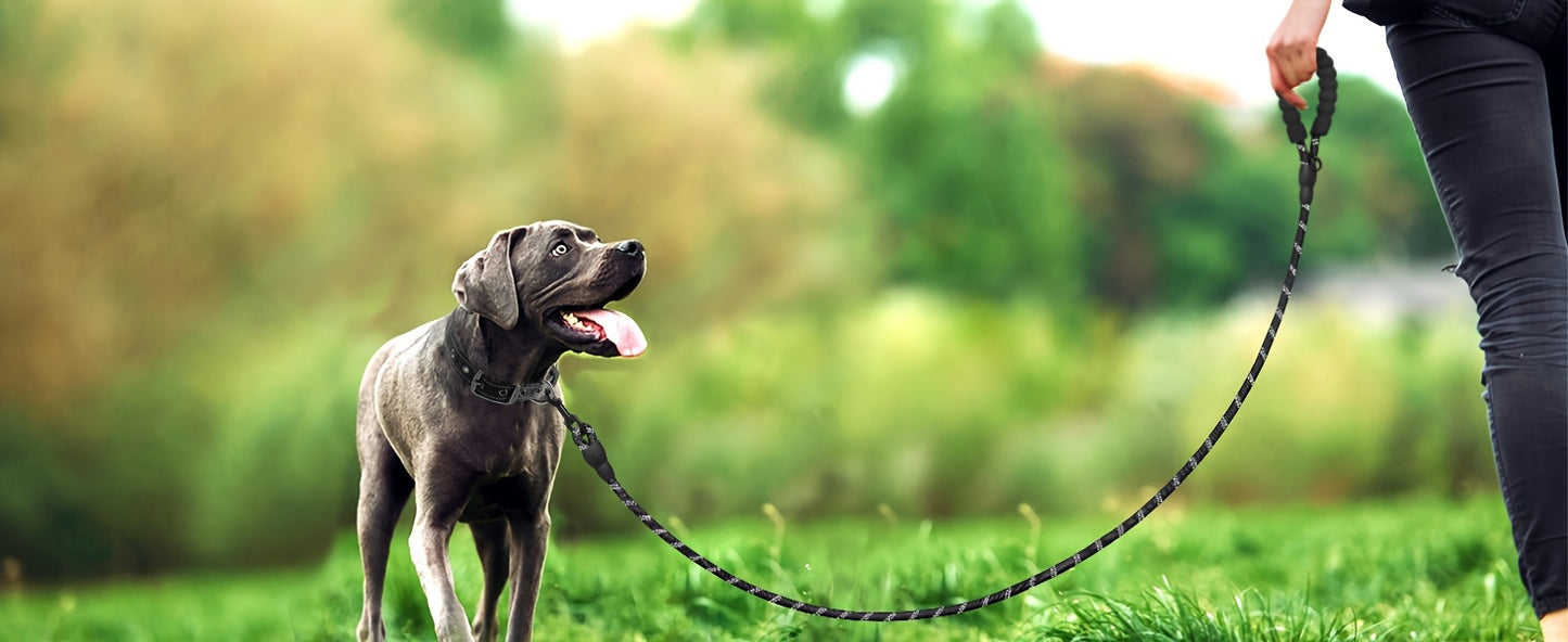 JOYTALE Adjustable Reflective Oxford Dog Harness and Rope Set | Easy Control for Medium to Large Dogs, Includes Free Heavy 5-Foot Dog Rope