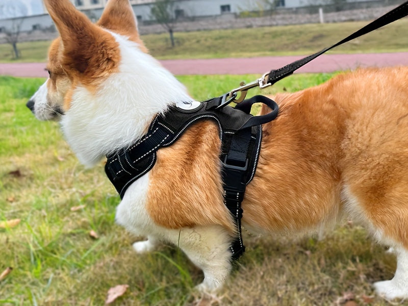 JOYTALE Adjustable Reflective Oxford Dog Harness and Rope Set | Easy Control for Medium to Large Dogs, Includes Free Heavy 5-Foot Dog Rope