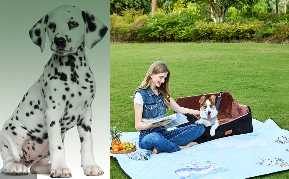 Memory Foam Dog Seat | Comfortable Car Dog Seat for Two Small Dogs or Large Dog up to 55lbs with Side Pockets and 3 Clip-on Safety Leashes, Plush Material, 30in x 19in