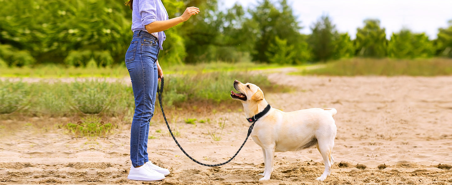 JOYTALE Adjustable Reflective Oxford Dog Harness and Rope Set | Easy Control for Medium to Large Dogs, Includes Free Heavy 5-Foot Dog Rope